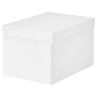 TJENA IKEA 103.954.21 Контейнер с крышкой 18x25x15 см Белый