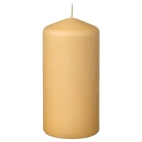 DAGLIGEN IKEA 105.480.99 Свеча формовая без запаха 14 см. светло-желтая DAGLIGEN IKEA 105.480.99 Свеча формовая без запаха 14 см. светло-желтая