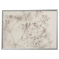 BJORKSTA Obraz z ramą, kwiaty – zblizenie/srebrny, 140x100 cm