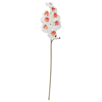 SMYCKA Sztuczny kwiat, do wewnątrz/na zewnątrz/Orchidea biały, 60 cm