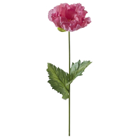 SMYCKA Sztuczny kwiat, do wewnątrz/na zewnątrz/Mak różowy, 55 cm