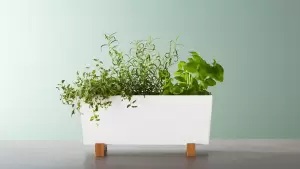 Кашпо и цветочные горшки для дома ИКЕА